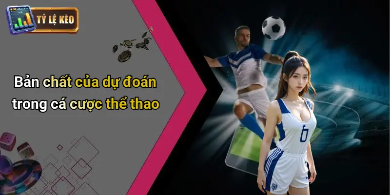 Dự đoán 1 Dự Đoán