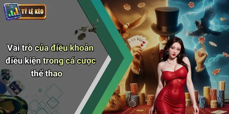 Điều Khoản Điều Kiện