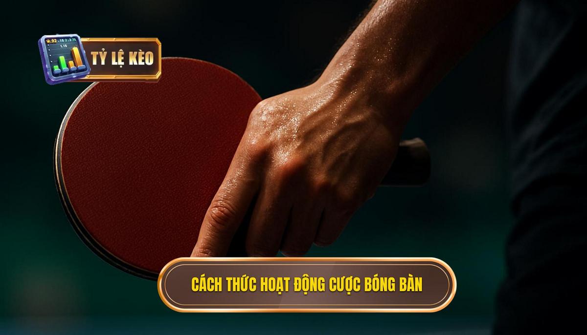 Kèo Cược Tổng Số Lần Sút Bóng Bị Chặn Hoạt Động Như Thế Nào_