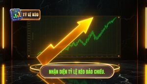 tỷ lệ kèo đảo chiều – dấu hiệu nên theo hay né?
